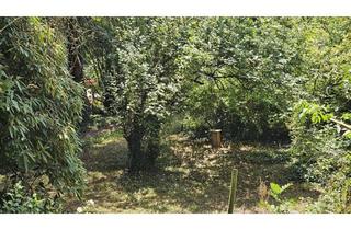 Grundstück zu kaufen in 71640 Ludwigsburg, 900 m² Gartengrundstück am Weinberg bei Oberstenfeld, inkl. Solarpower & Häuschen