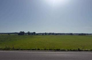 Gewerbeimmobilie kaufen in 86871 Rammingen, Landwirtschaftsfläche mit guter Verkehrsanbindung