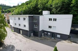 Wohnung kaufen in 72461 Albstadt, Frisch kernsanierte und bezugsbereite 3-Zimmer-Wohnung mit Außenstellplatz