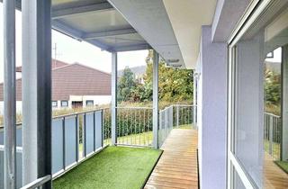 Wohnung mieten in 76887 Bad Bergzabern, Helle ,großzügige 2 Zimmerwohnung - zentrale Lage in Bad Bergzabern