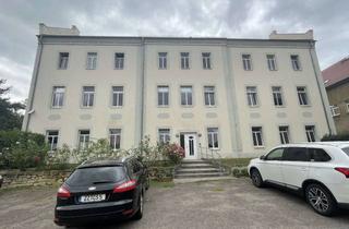 Wohnung mieten in Steinbrüchener Weg, 06712 Geußnitz, In Geußnitz ruhige im grünen gelegene renovierte 2 Raumwohnung