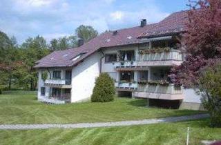 Wohnung mieten in 93449 Waldmünchen, Schöne 2-Zimmer-Wohnung mit Balkon