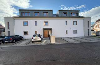 Wohnung mieten in 77694 Kehl, Schöne 3-Zimmer Erdgeschosswohnung, eines Neubau-MFH mit 7 WE, KfW-Effizienshaus40+, in Kehl-Marlen