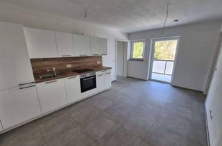 Wohnung mieten in Untere Haardtstraße 59, 66957 Eppenbrunn, Erstbezug mit Einbauküche und Terrasse: Exklusive 1-Raum-Wohnung in Eppenbrunn