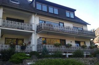 Wohnung mieten in 56322 Spay, Möbliertes 2-Zimmer Appartement in Spay zu vermieten - Rheinblick vom Balkon