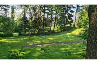 Wohnung mieten in Linden Allee 28, 01778 Geising, Zum Herbstgenuss ins Erzgebirge
