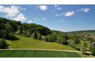 Gewerbeimmobilie kaufen in 72532 Gomadingen, REUTLINGEN-Umland - Grundstück - GREEN-FIELD-2.0