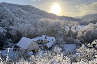Haus kaufen in 56753 Pillig, Ein exklusives Mühlenanwesen, hochwertig saniert, alleine in der Natur - Nähe Koblenz
