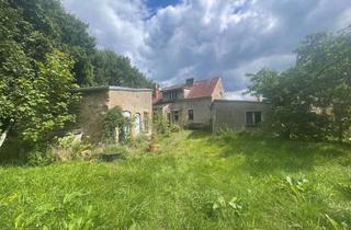 Einfamilienhaus kaufen in 15746 Groß Köris, Sonniges und idyllisches Grundstück mit soliden Einfamilienhaus und Nebengelass