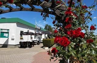 Gewerbeimmobilie kaufen in 06780 Zörbig, Gut laufende Gaststätte in 06780 Großzöberitz