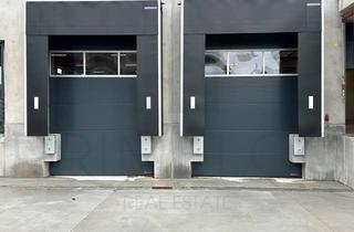 Büro zu mieten in 65936 Sossenheim, ca. 700 m² moderne Gewerbehalle + Büro | 6,50 UKB | Nahe A5