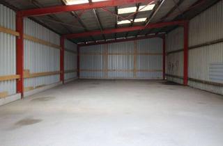 Büro zu mieten in 67227 Frankenthal, HR 3758 - großzügiges Gewerbegrundstück mit drei Hallen, Service- und Büroflächen