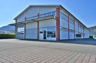 Gewerbeimmobilie kaufen in 79713 Bad Säckingen, Top Gepflegte Gewerbeimmobile mit großem Gewerbegrundstück