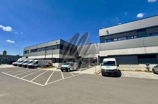 Büro zu mieten in 65205 Nordenstadt, RAMPE + EBEN ✓ Moderne Lagerflächen (2.400 m²) & Büroflächen (400m²) zu vermieten