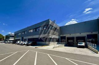 Büro zu mieten in 65205 Nordenstadt, RAMPE + EBEN ✓ Moderne Lagerflächen (1.200 m²) & Büroflächen (250m²) zu vermieten