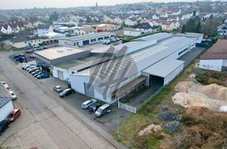 Büro zu mieten in 61200 Wölfersheim, KEINE PROVISION ✓ IM ALLEINAUFTRAG ✓ Lager (1.580 m²) & Büro-/Sozial (60 m²) zu vermieten