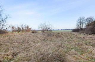 Grundstück zu kaufen in 30855 Langenhagen, Langenhagen-Hainhaus , Seltenes Grundstück! Feldrandlage, 1200m², ohne Altbestand.