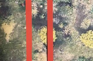 Grundstück zu kaufen in 39179 Barleben, Sonnige Baulücke in östlicher Lage von Barleben