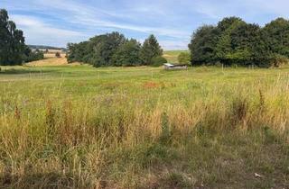 Grundstück zu kaufen in 56357 Oelsberg, Traumhaftes Grundstück mit Weiden und Bachlauf