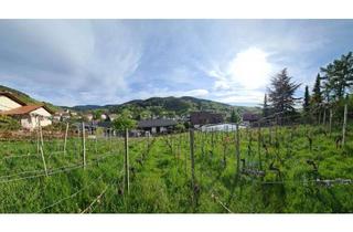 Grundstück zu kaufen in 77830 Bühlertal, Traumgrundstück mit Panoramablick in Bühlertal-Untertal