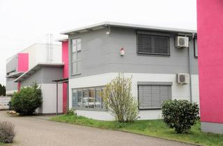 Lager kaufen in 68753 Waghäusel, Großobjekt! Top gepflegte Büro-und Hallenflächen mit EFH, 3 Garagen und über 50 Stellplätzen