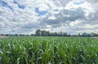 Immobilie kaufen in 46414 Rhede, Ackerland in Rhede