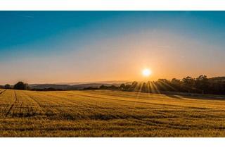 Immobilie kaufen in 86845 Großaitingen, Landwirtschaftliche Fläche ca. 2 ha - Gemarkung Großaitingen