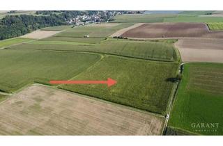 Gewerbeimmobilie kaufen in 94437 Mamming, Attraktiver Acker in Mamming - quadratisch, eben und gut erreichbar
