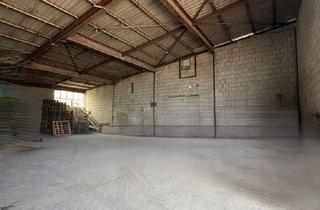 Büro zu mieten in 67227 Frankenthal, HR 3758 - großzügiges Gewerbegrundstück mit drei Hallen, Service- und Büroflächen