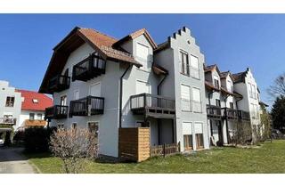 Wohnung mieten in An Den Schäferpfühlen 33, 16321 Bernau, Ruhige 2-Zimmer-Wohnung in Bernau