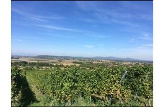 Wohnung mieten in 79238 Ehrenkirchen, Stilvolle, gepflegte 3-Raum-Wohnung mit Balkon Südlage in Ehrenkirchen