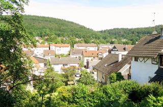 Wohnung mieten in Dreikreuzweg 35, 69151 Neckargemünd, Gemütliche, renovierte Einliegerwohnung mit Terrasse und Einbauküche