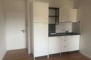 Wohnung mieten in Mühlenstraße 26, 32756 Detmold, Kleines ruhiges 1-Zimmer-Apartment (neu renoviert)