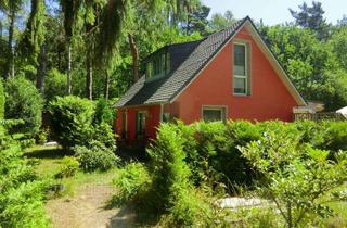 Haus kaufen in Wiesenstraße 84, 18374 Zingst, Ferienhaus in idyllischer Waldlage, 5min. zum Ostseestrand Zingst