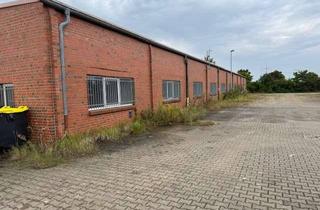 Gewerbeimmobilie kaufen in 15370 Fredersdorf-Vogelsdorf, Massive Großraumhalle mit Büro & Sanitäranlagen