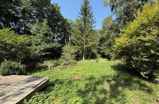 Grundstück zu kaufen in 61273 Wehrheim, Freizeitgrundstück mit Teich und Schutzhütte