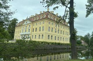 Büro zu mieten in 01454 Wachau, Schloss Wachau! Exklusive Büroetage mit repräsentativem Ambiente!