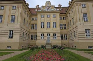 Gewerbeimmobilie mieten in 01454 Wachau, Stilvolle Geschäftsräume im prachtvollen Schloss Wachau mit Eleganz