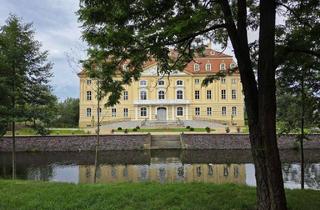 Gewerbeimmobilie mieten in 01454 Wachau, Möblierte Geschäftsräume im Schloss Wachau