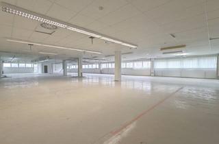 Büro zu mieten in 86972 Altenstadt, HELLE HALLENFLÄCHEN, BEHEIZBAR, INKL. LADERAMPEN & ANLIEFERUNG, VIELSEITIG NUTZBAR