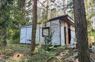 Haus kaufen in 06905 Bad Schmiedeberg, Bad Schmiedeberg - Wochenendhaus mit Grundstück in Plodda nähe Muldestausee