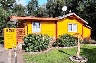 Einfamilienhaus kaufen in 27729 Hambergen, Hambergen - Stilvolles Einfamilienhaus