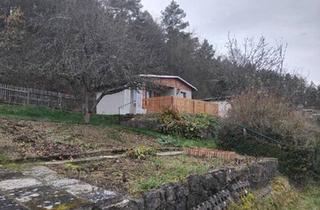 Haus kaufen in 07745 Jena, Jena - Pachtgarten mit Gartenhaus