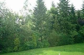 Wohnung kaufen in 90765 Ronhof, Kapitalanlage oder Eigenbezug ... Einzimmer-Apartment im gepflegten Zustand