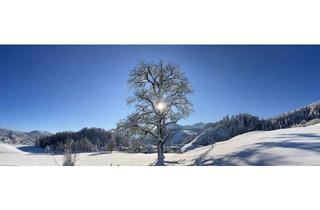 Wohnung kaufen in 83727 Schliersee, 3-Zimmer-Dachgeschosswohnung mit Charakter – Provisionsfrei, direkt vom Eigentümer