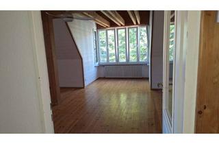 Wohnung mieten in 88316 Isny, moderne 2-Zimmerdachgeschosswohnung nahe Kurpark in Isny