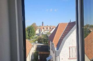 Wohnung mieten in Alzeyerstraße 275, 67549 Pfiffligheim, Paradies für Studierende, Pärchen oder Single - Tolles Appartement über den Dächern von Pfiffligheim