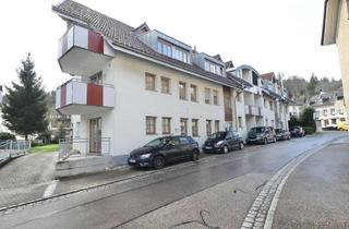 Wohnung mieten in Hintere Hofmatt, 79677 Aitern, Moderne 2-Zimmer Wohnung mit Terrasse im Herzen von Schönau!