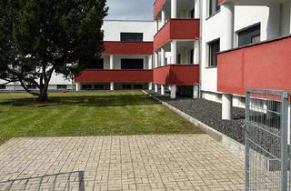 Wohnung mieten in Mühlenflößstr. 29, 33175 Bad Lippspringe, 3 Zimmerwohnung mit Balkon frisch saniert sucht neue Mieter