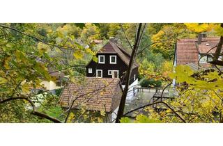 Haus kaufen in 37445 Walkenried, 1 Familienhaus für Naturliebhaber im Süd/Harz.